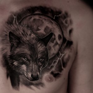 Wolf